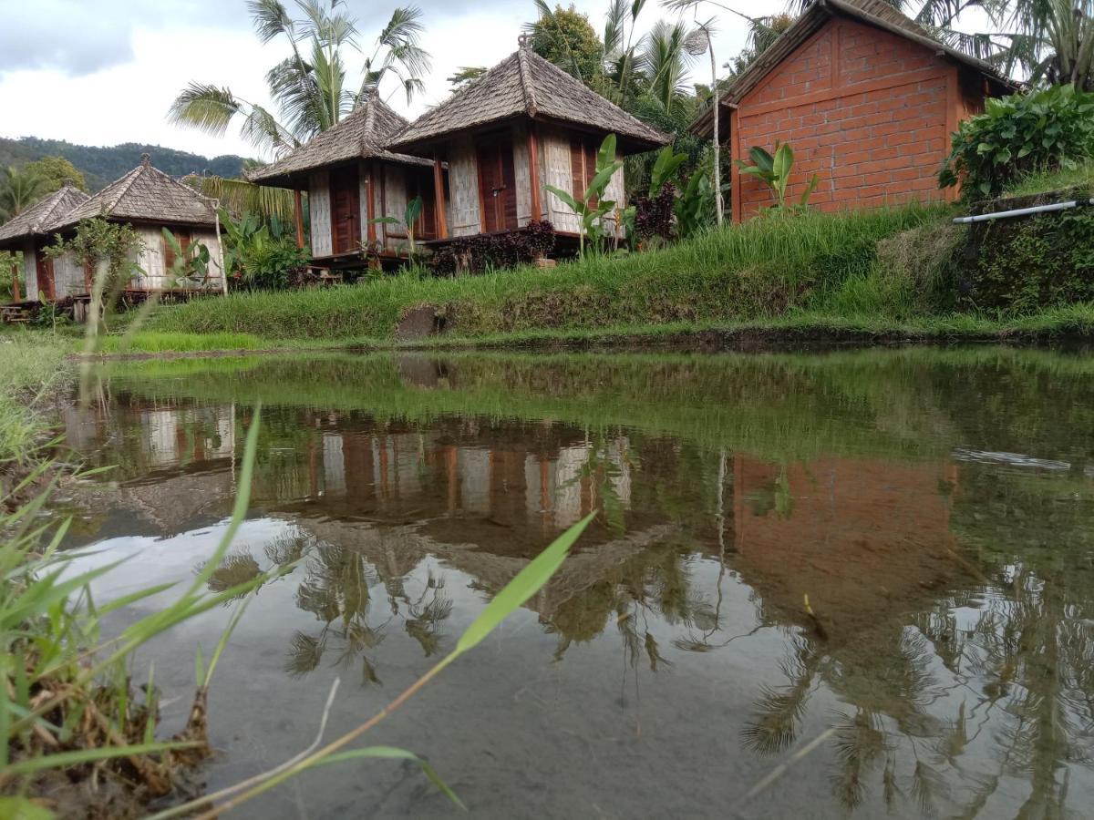 Puri Sunny Camp Villa Munduk Kültér fotó