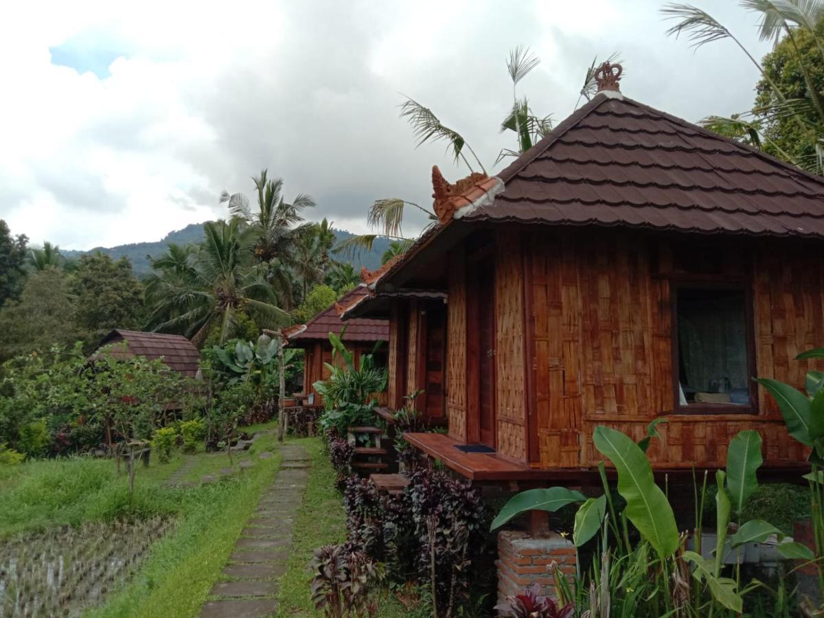 Puri Sunny Camp Villa Munduk Kültér fotó