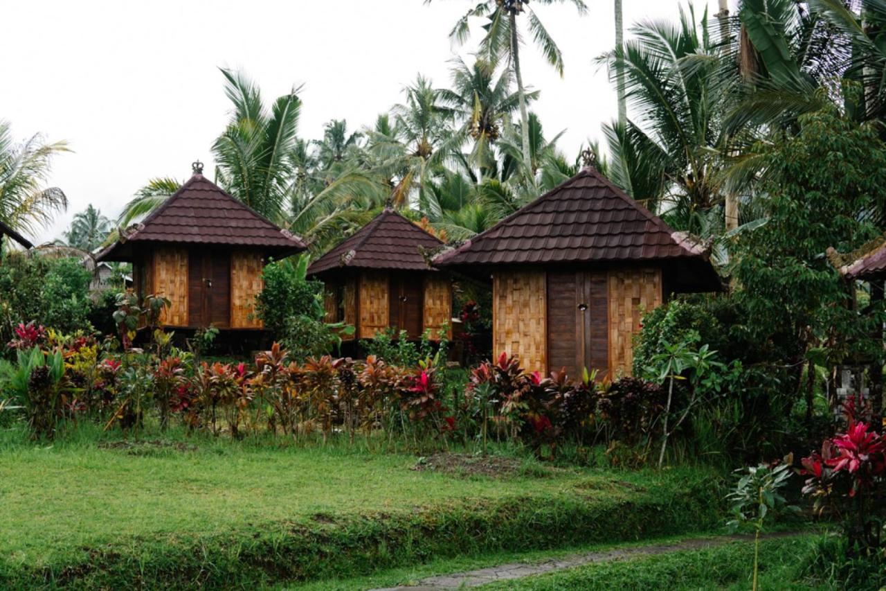 Puri Sunny Camp Villa Munduk Kültér fotó
