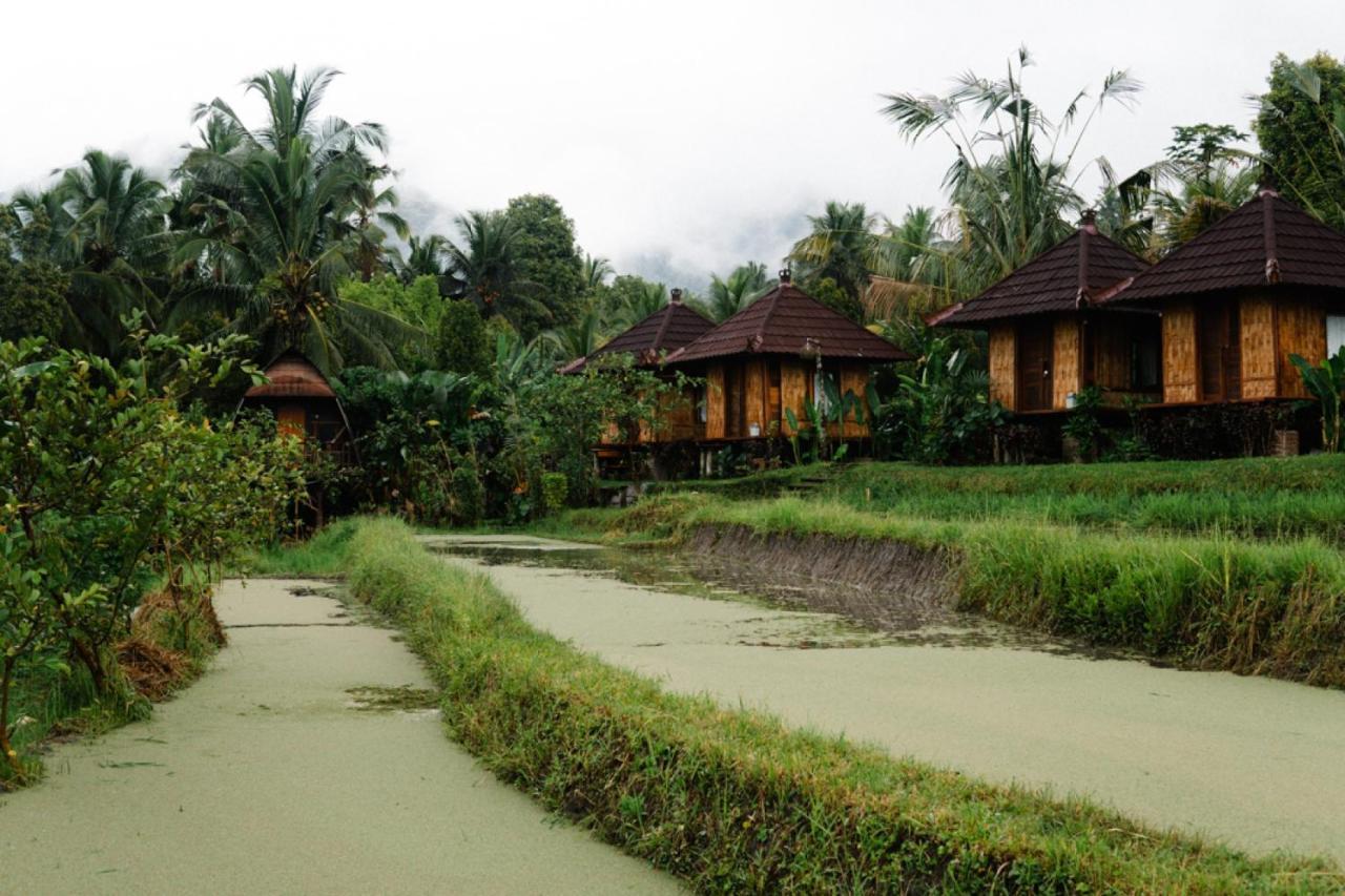 Puri Sunny Camp Villa Munduk Kültér fotó