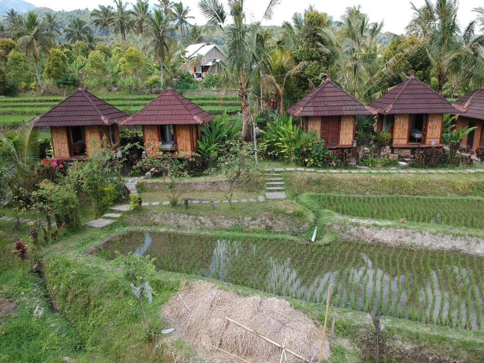 Puri Sunny Camp Villa Munduk Kültér fotó