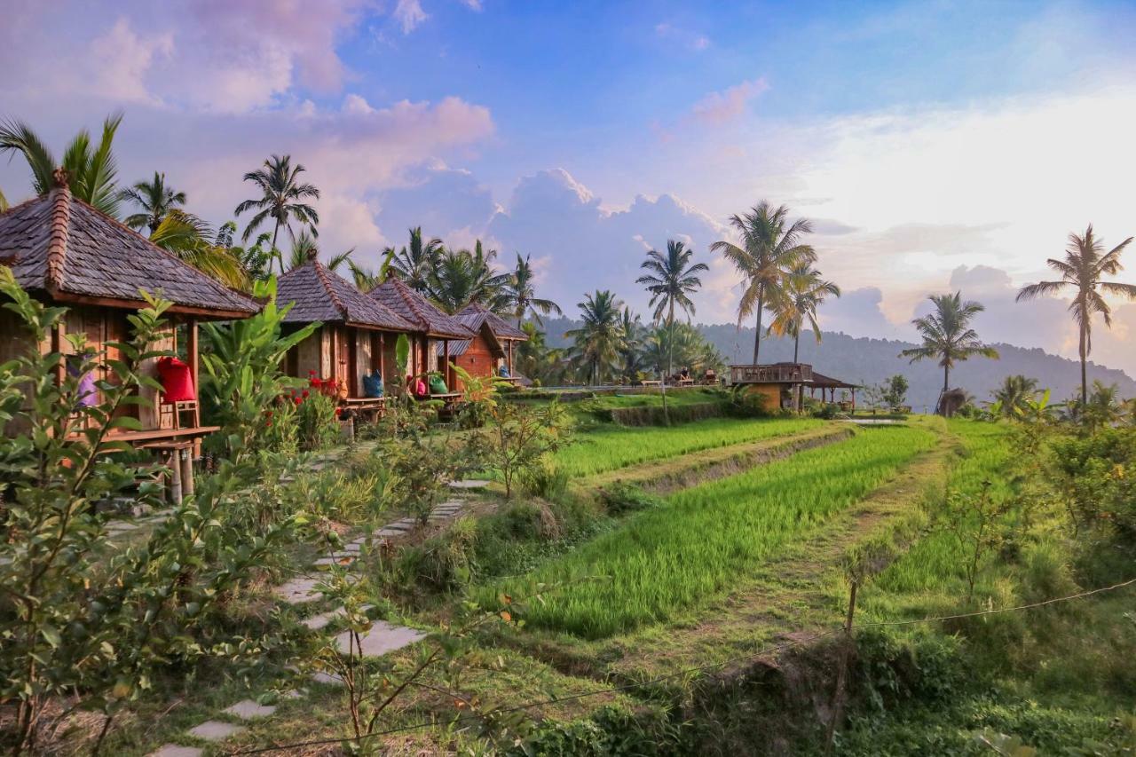 Puri Sunny Camp Villa Munduk Kültér fotó