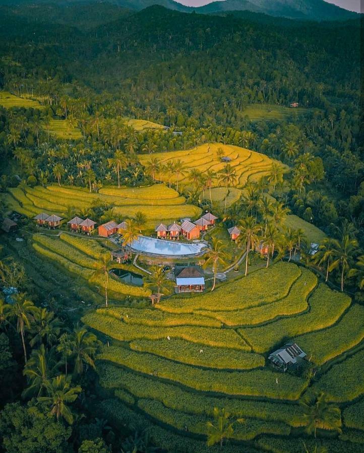 Puri Sunny Camp Villa Munduk Kültér fotó